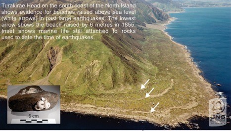 图12: 海滨阶地记录了历史大地震的存在。来源：GNS