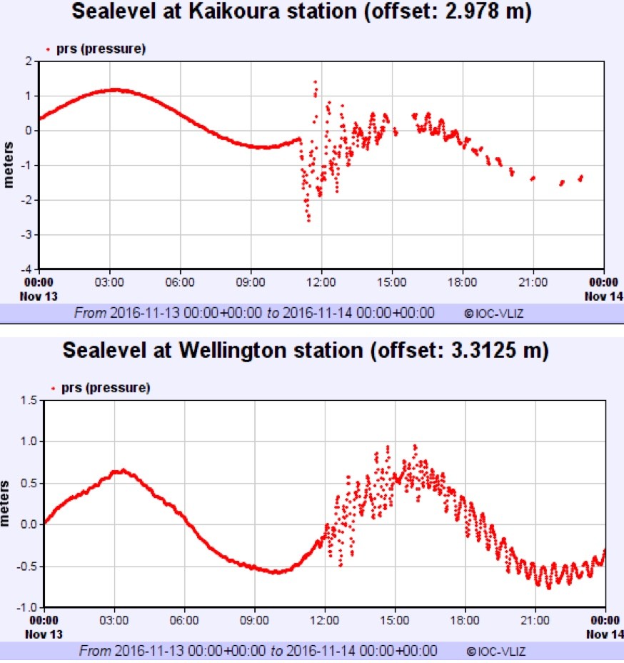 图13：凯库拉7.8级地震引起小规模海啸，在凯库拉（Kaikoura）附近海啸波浪幅度达到1.5米高，首都惠灵顿（Wellington）波浪高度为0.5米左右