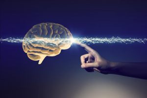疯狂的人类复活计划：逆转脑死亡，是科学还是鬼扯？