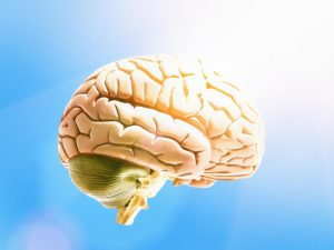 疯狂的人类复活计划：逆转脑死亡，是科学还是鬼扯？