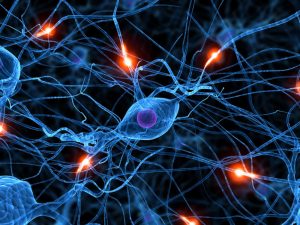 疯狂的人类复活计划：逆转脑死亡，是科学还是鬼扯？