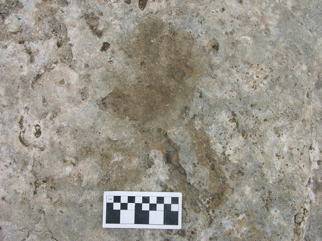 手印化石表明人类早在7000年前就在青藏高原活动