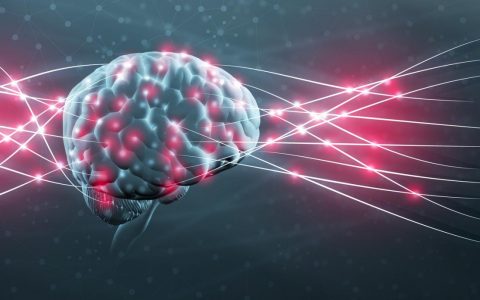 科学家发现影响记忆力的原因