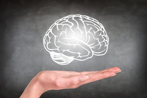 人类变聪明并非自然选择的结果？