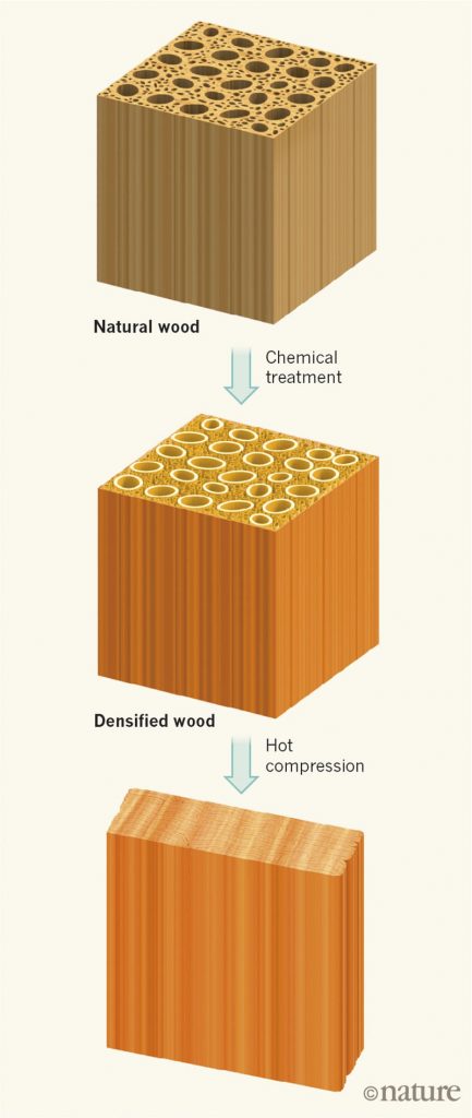 木材也可以像钢铁一样硬