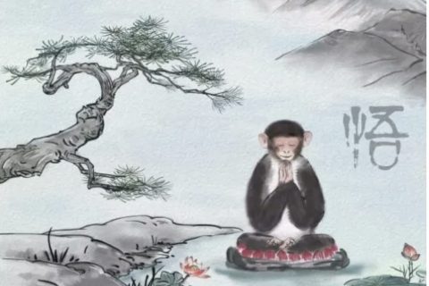 中国科学家揭示非人灵长类动物的高精度三维基因组学图谱